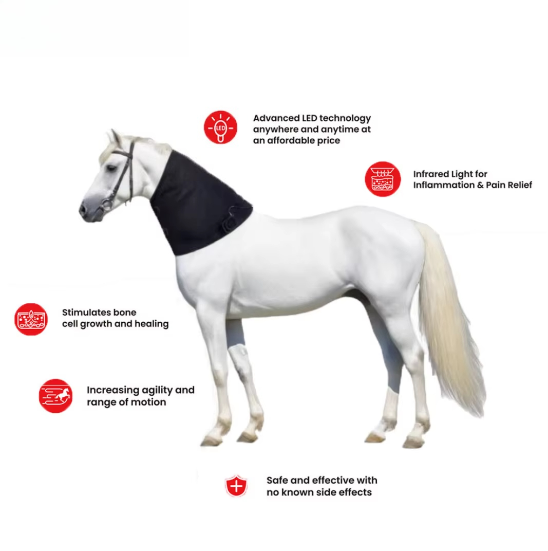 Outdoor Furniture Target - Red Light Targeting Neck Areas Veterinary